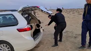 поле Елкен Балкан!