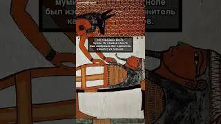 Знали об этом ❓