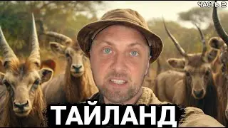 САМЫЙ НЕОБЫЧНЫЙ ЗООПАРК ТАИЛАНДА | ЗУБАРЕВ | ЗУБАРЕВ В КИТАЕ
