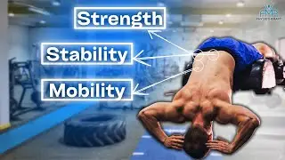 The BEST Lower Back Exercises! [COMPLETE GUIDE]