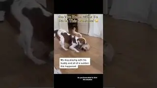 Do You Know What To Do In This Situation? 