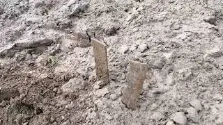 Нашёл клад но это не ТОЧНО / Развлечение фермера в будний день.