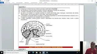 Revisão Emescam