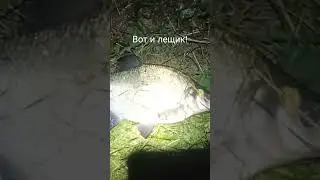 #рыбалка