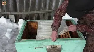 Зимовка проходит всегда на 💯%