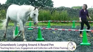 Groundwork P6: Lunging Around a Round Pen.