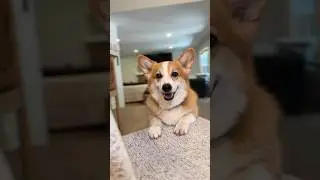 They’re very sneaky!