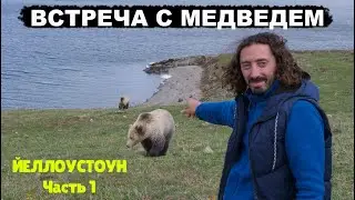 Медведи, Бизоны, Вулкан, Гейзеры и ночь в палатке в Йеллоустоун. Кругосветное путешествие.