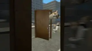 skibidi cats 🙀🔥  #skibiditoilet #cat