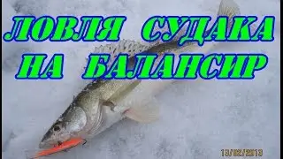 Ловля судака на балансир зимой.Горьковское вдхр.