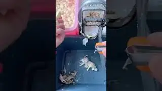 La Manera Más Fácil de Pelar un Ajo 🙀🚨 #Cocina #Truco #Viral