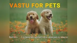 Pet, Vastu Tips For Domestic Animal-पालतू जानवरों के लिए वास्तु टिप्स, घरेलू जानवरों के लिए वास्तु