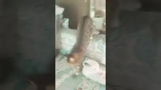 ура пятница можно делать всё что я хочу
