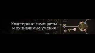Path of Exile ПоЕ PoE 