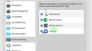 Privacy controls in Catalina. Enabling Zoom for a support call.