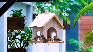 Build a Bird House in Just 1 Hour with EASY Wooden Plans!