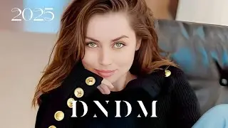 DNDM, Mr Salama - Gray Night
