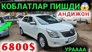 24-АВГУСТ КАСОТ БУЛГАН КОБОЛТЛАР КУ'ЧАДА КОЛДИ АНДИЖОН МАШИНА БОЗОРИ 2024