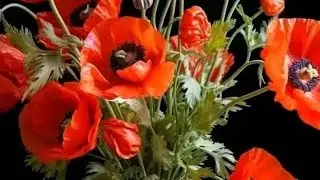 Славянск.08.05.25. С Утра в Магазин на Районе /Закупки/ Очень Тихий День.
