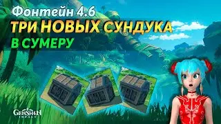 🎁Три Новых Сундука в Сумеру | Геншин Импакт 4.6 | Сундуки и Примогемы