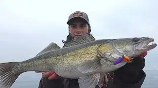 ЭТО ЭЛЬДОРАДО! ТРОФЕЙНЫЕ СУДАКИ НА КАЖДОМ ЗАБРОСЕ! Лучшая рыбалка на спиннинг