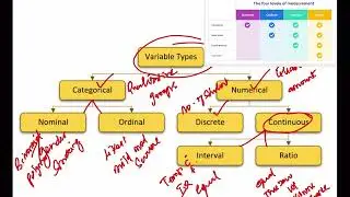 Types of variables. 