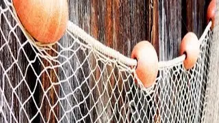 Idea for BUSINESS. Fish spider for catching live bait in winter. Kastingovaya fishing net.