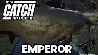 The Catch: Carp & Coarse - Emperor - 50lb 0oz - Boss Fish - River Ebro
