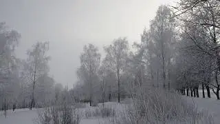 Снежная зима, Лозовая