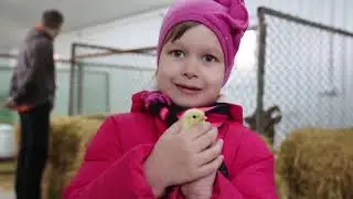 Экскурсия в 