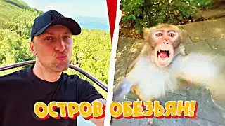 IRL СТРИМ ЗУБАРЕВА ПО ОСТРОВУ ОБЕЗЬЯН В САНЬЕ! 