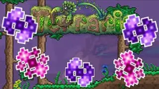 тьма, свет и вся билеберда (эссенции). TERRARIA 1.4.4.9