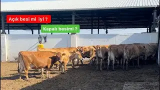Açık besimi ? Kapalı besimi ? Tercih sizin !! / Yeni çiftlik yapacaklara tavsiye !!