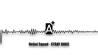 VELIAL SQUAD - STAY DOGS (2024)