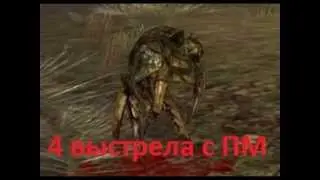 Где искать артефакты новичкам СТАЛКЕР онлайн