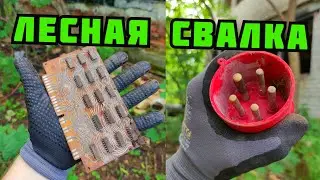PLASTILIN. ПОИСК МЕДИ И МЕТАЛЛОЛОМА В ЛЕСУ НА СВАЛКЕ! ОЧИЩАЮ ЛЕС ОТ ХЛАМА. КАК ЗАРАБОТАТЬ ДЕНЬГИ