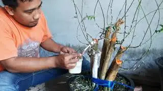 Cara Ampuh Mengatasi Jamur Atau Lumut Di Musim Penghujan