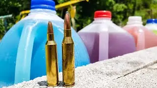 22-250 vs 243 - HOW MANY MILK JUGS???