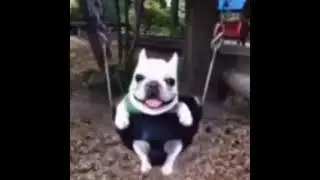 Пёска и бабка флексят под оригинальный фонк