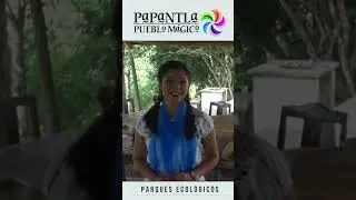 Parques Ecológicos en Papantla