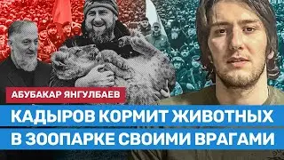 Кадыров кормит животных в зоопарке своими врагами. Янгулбаев о казни блогера Тепсуркаева