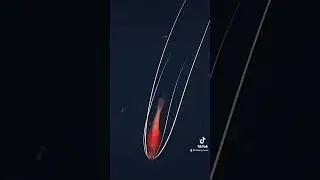 Watch this deep-sea shrimp zoom, zoom, zoom🏎 #deepsea #oceanlife #ocean #marinebiology #fypage