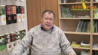 Овощеводство. Лекция 5