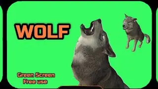 WOLF video animation Green Screen. Chromakey footage GREEN SCREEN.