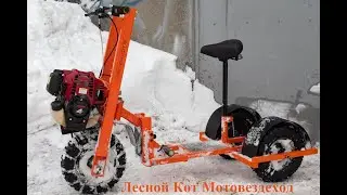 Лесной Кот - Мотвездеход- Трайк
