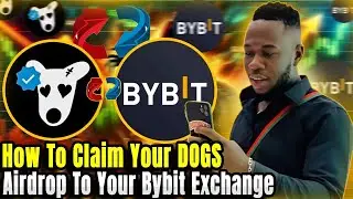 How To Claim Your DOGS Airdrop To Your Bybit Exchange