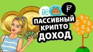 Топ 4 доходных фермы на PancakeSwap (ЛУЧШИЙ пассивный доход от криптовалют)