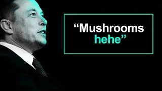 Elon Musk Is Coy About Psychedelics