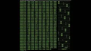 The 'head' Command In Linux