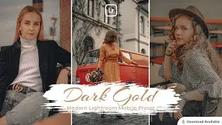 Dark Gold | Lightroom editing | Lightroom Mobile Preset Free DNG